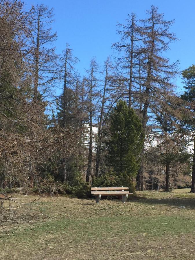 Chalet Gaerlich Bürchen Dış mekan fotoğraf
